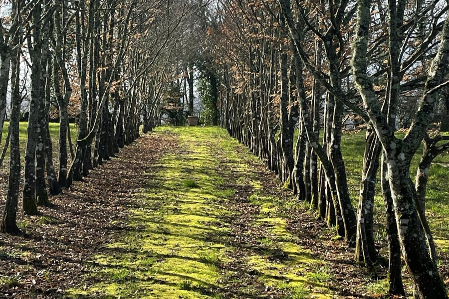 LES JARDINS DE SARDY