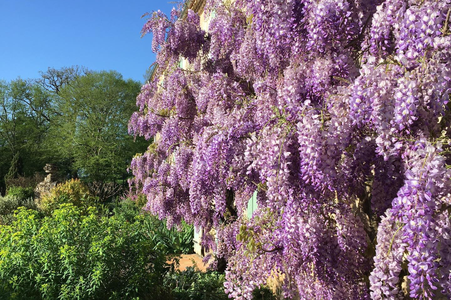 LES JARDINS DE SARDY