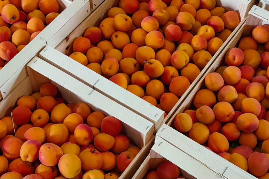 livraison d'abricots