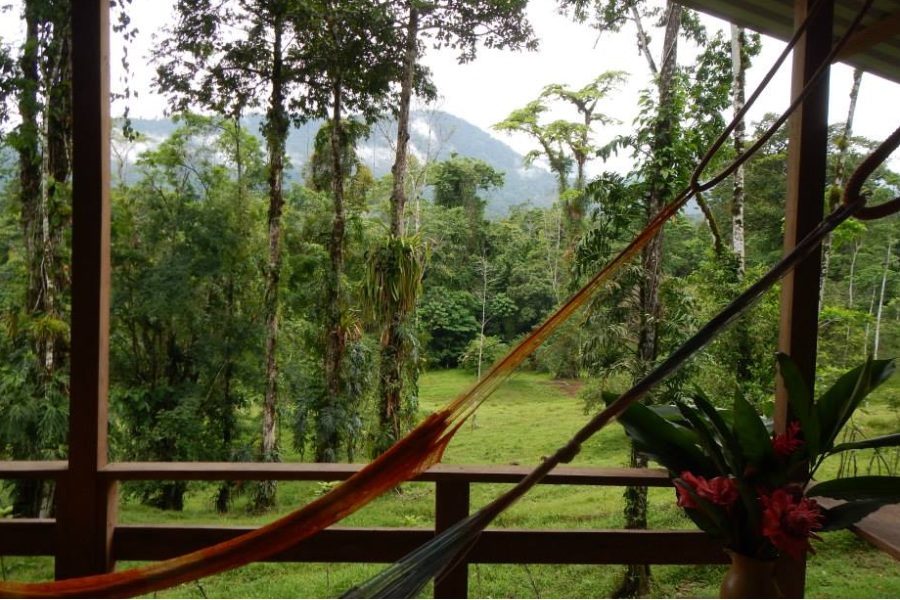 Selva Bananito Lodge - Costa Rica - ©Selva Bananito Lodge - Costa Rica