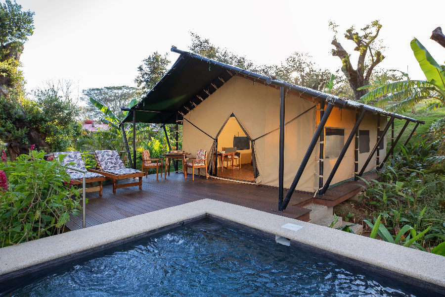 Eco-Luxury Tented Camp Experience