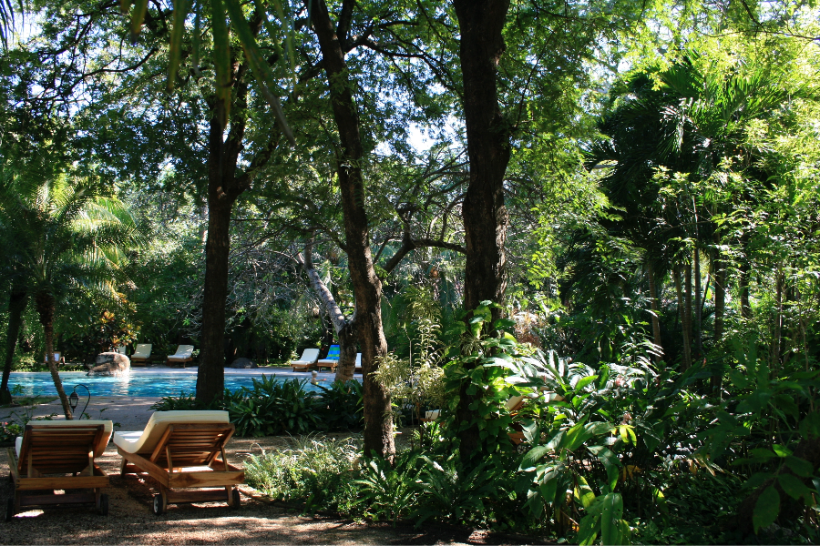 The garden and the swimming pool - ©Hotel Capitán Suizo