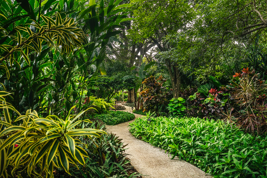 Hotel Garden - ©HOTEL CAPITÁN SUIZO