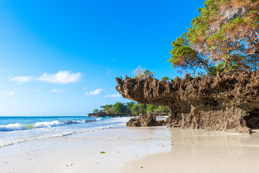 Diani Beach - ©AQS