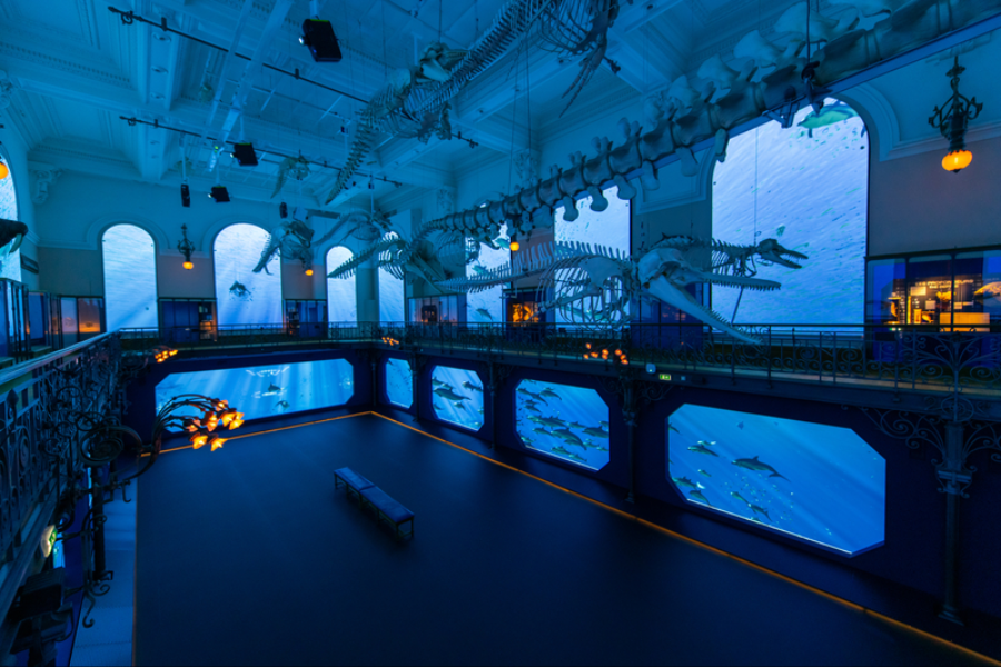 MUSÉE OCÉANOGRAPHIQUE DE MONACO - Exposition MÉDITERRANÉE 2050
