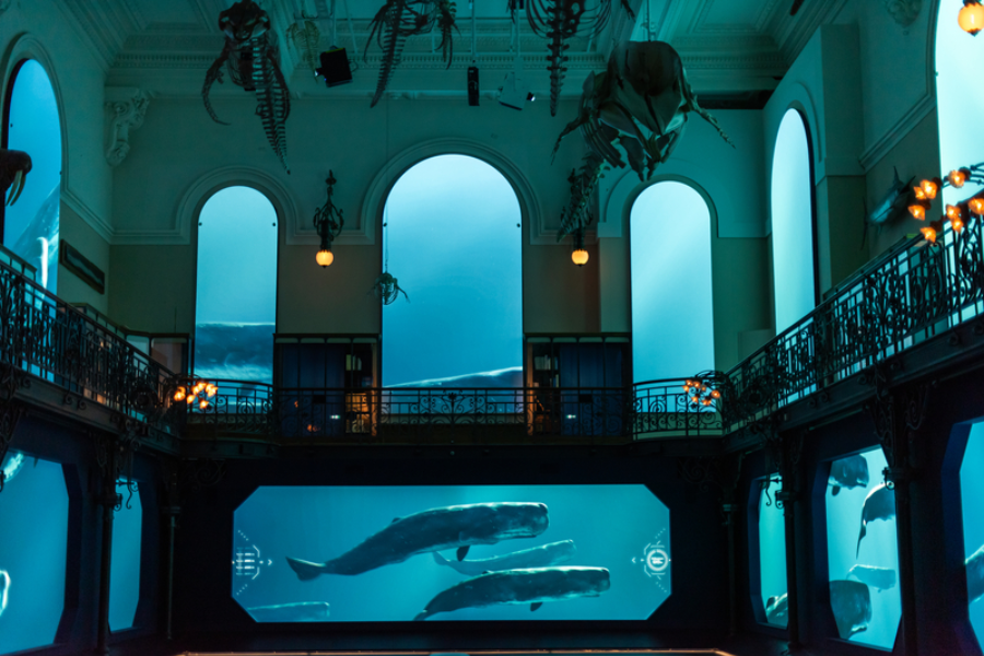 MUSÉE OCÉANOGRAPHIQUE DE MONACO - Exposition MÉDITERRANÉE 2050