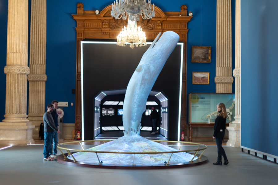 MUSÉE OCÉANOGRAPHIQUE DE MONACO