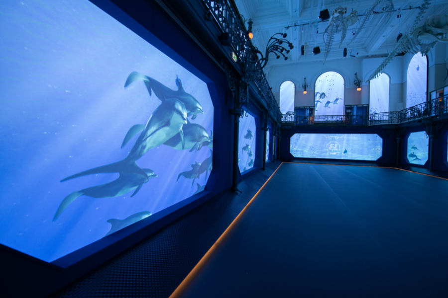 MUSÉE OCÉANOGRAPHIQUE DE MONACO - Exposition MÉDITERRANÉE 2050