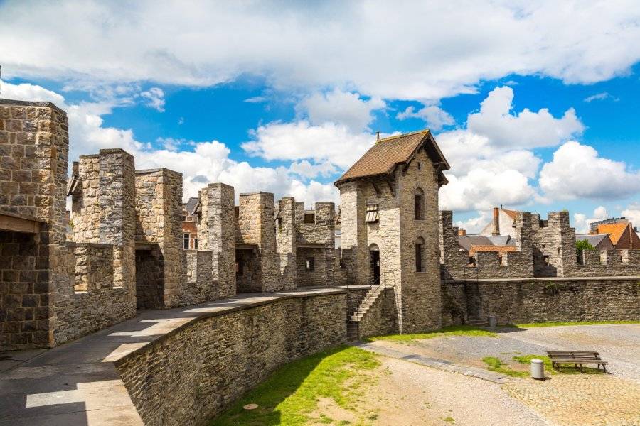 S-F - Shutterstoc... - ©CHÂTEAU DES COMTES (GRAVENSTEEN)