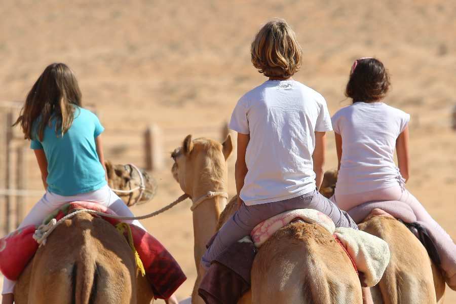 Camel Ride - ©Camel Ride