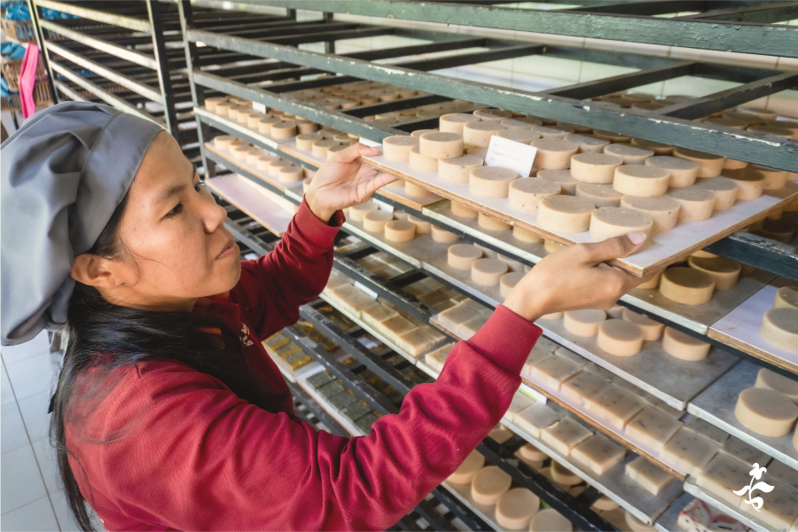 Artisan depositing a tray of handmade natural soap to dry for a month