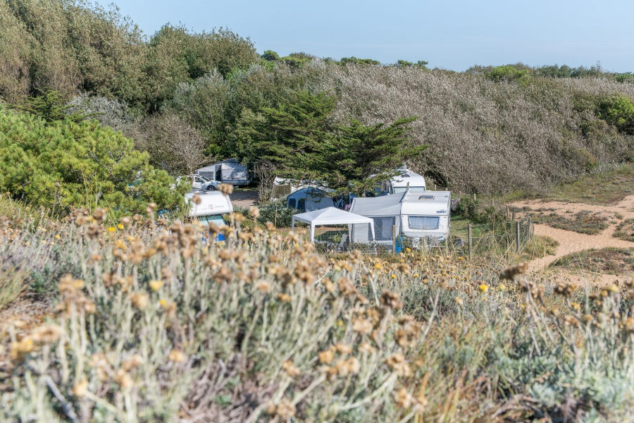 Camping les Cyprès Emplacements côté dune - ©Camping les Cyprès par Virginie B