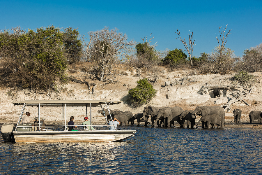 Boat Cruise Chobe River Chobe National Park