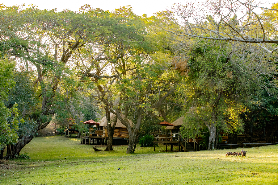 11 Chalets in Garden Setting