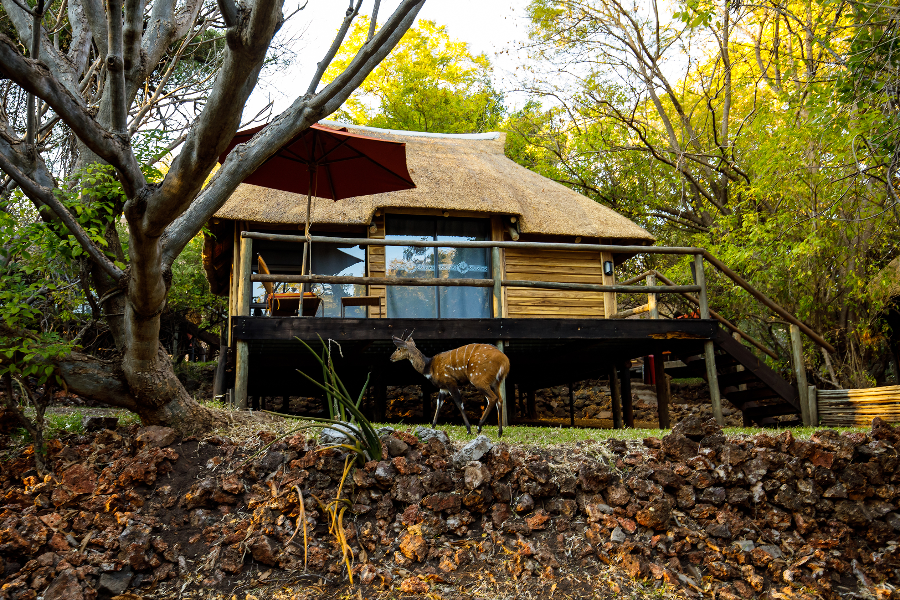 Chalet Exterior - ©Kubu Lodge