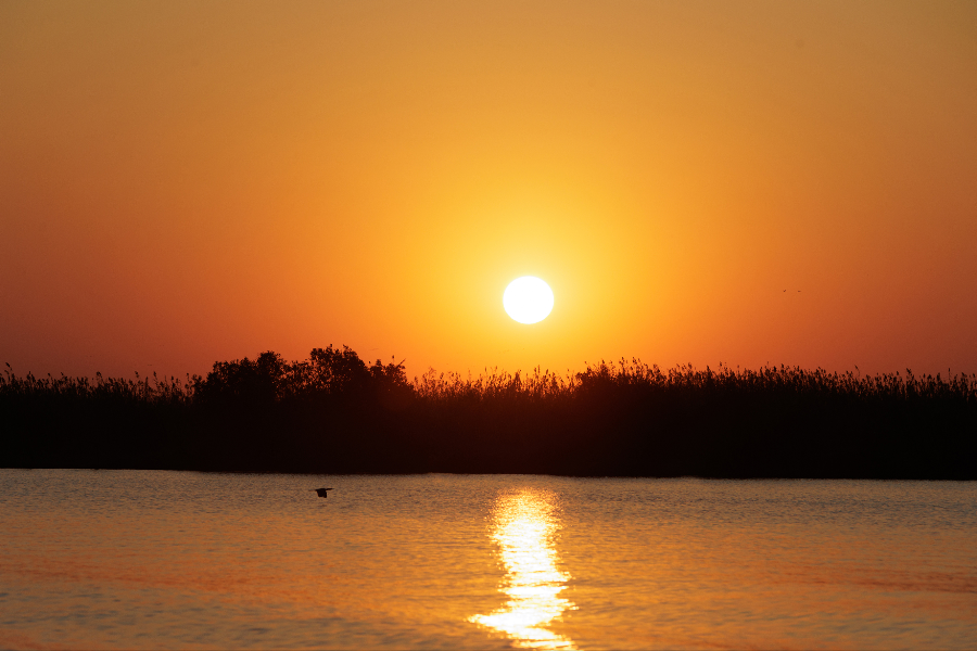 Chobe Sunset - ©Kubu Lodge