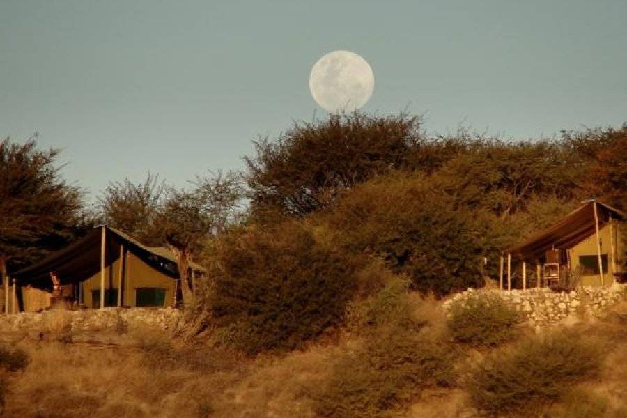 MENO A KWENA Hotel Makgadikgadi Pans photo n° 176135 - ©MENO A KWENA