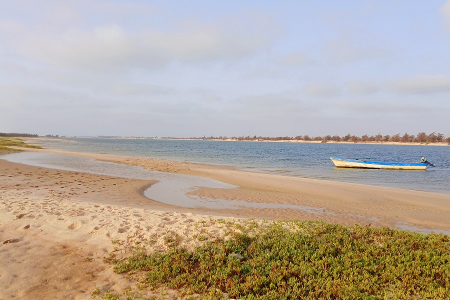 ocean et savane