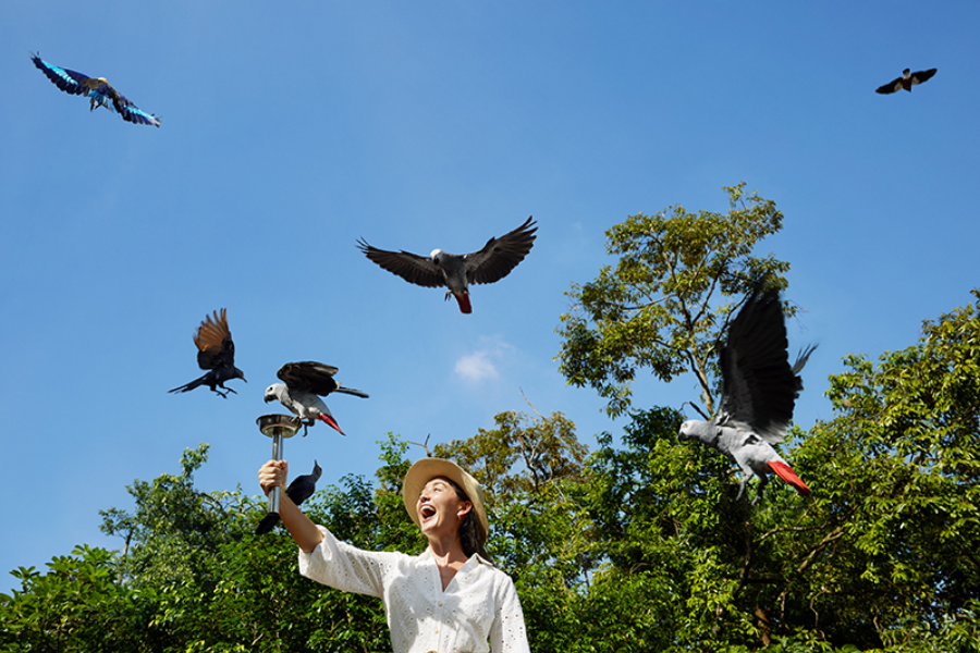 Bird Feeding Sessions - ©Mandai Wildlife Reserve
