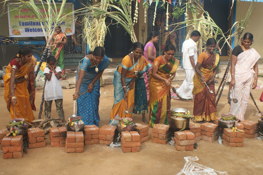 Festival Pongal - ©@cholantours