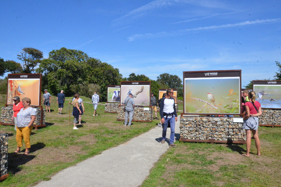 Exposition extérieure