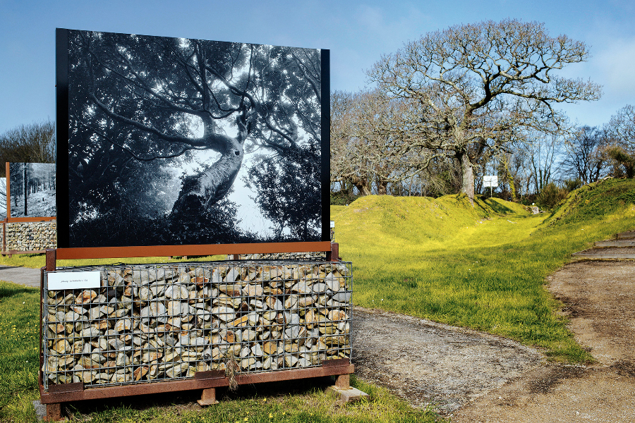 Exposition extérieure - ©manoir du Tourp