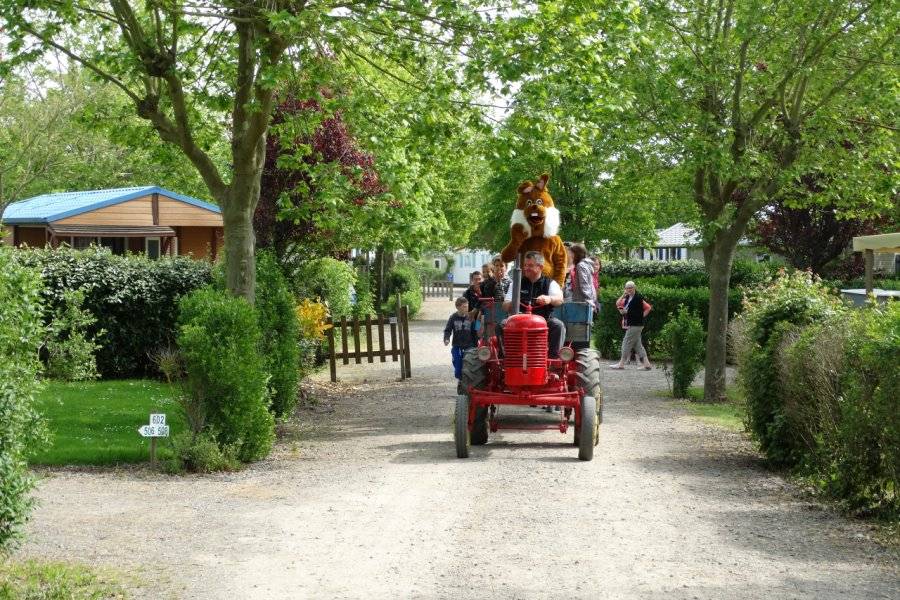 CAMPING PARADIS LA GRAND'MÉTAIRIE Camping – Hôtellerie de plein air Saint-Hilaire-La-Forêt photo n° 222668 - ©CAMPING PARADIS LA GRAND'MÉTAIRIE