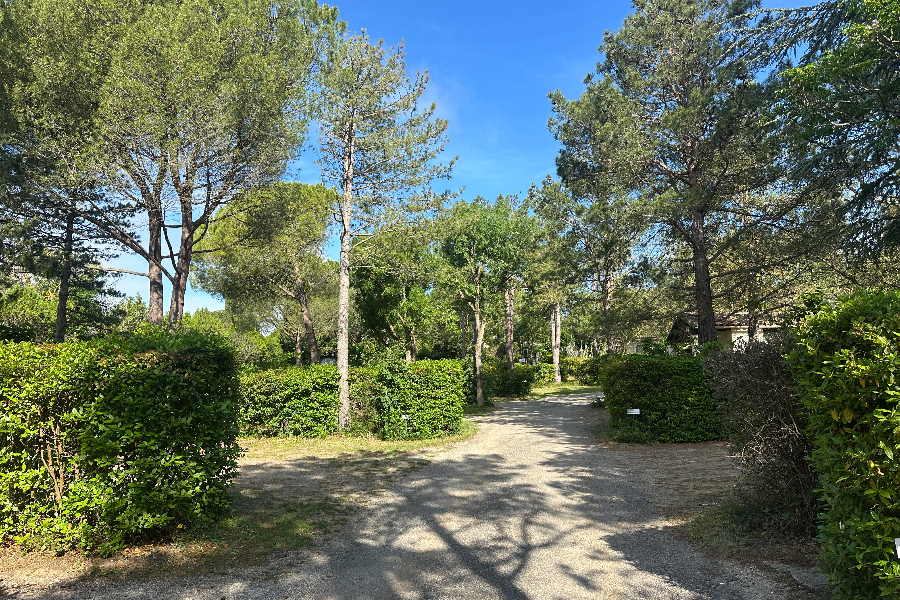 CAMPIMNG LE MALOLYA