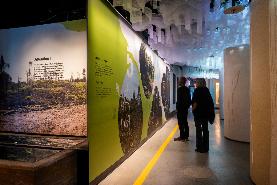 Musée Boréalis exposition Transformations espace forestier