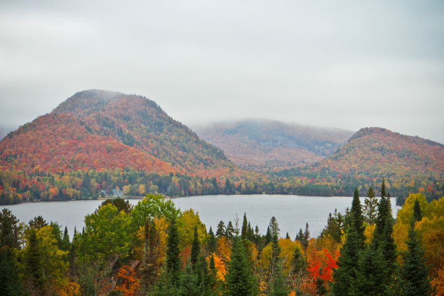 Pleine vue sur l'automne et ses couleurs depuis un chalet - ©RCNT Chalets