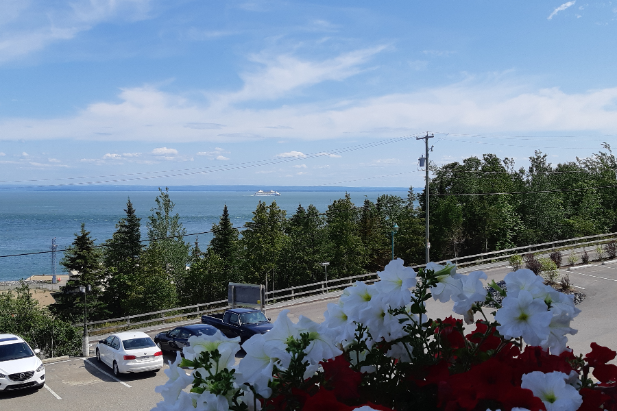 Vue depuis la terrasse.