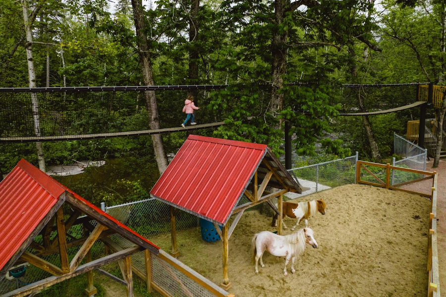 ZOO SAUVAGE DE ST-FÉLICIEN
