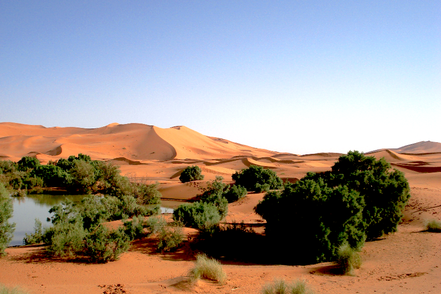 IDEAL TRAVEL MOROCCO
