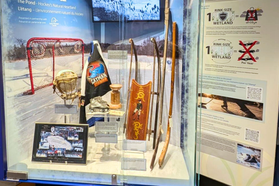 HOCKEY HALL OF FAME