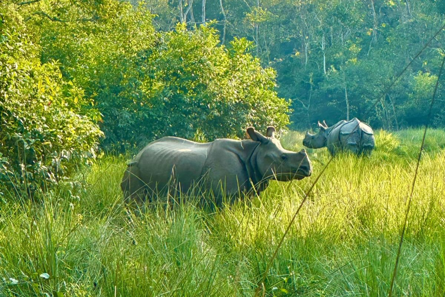 THE EXPLORE NEPAL