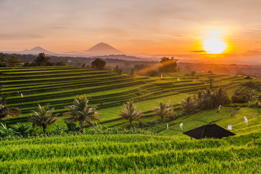 Rizières et volcans de Bali - ©Shutterstock