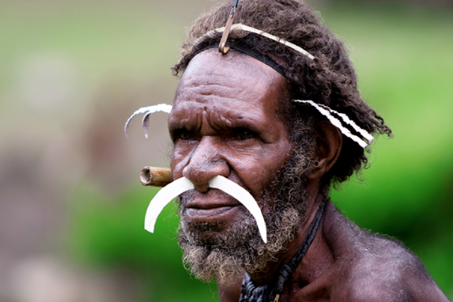 Guerrier Dani (vallée de Baliem - Papouasie) - ©Dominic C Photkgraphy