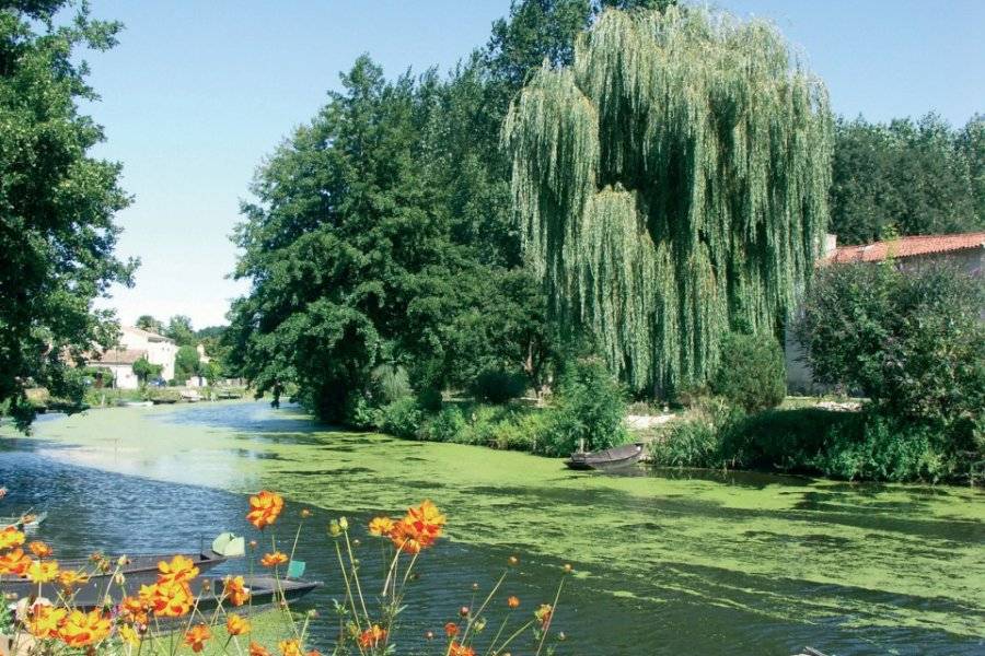 Poitevin Marshlands Regional Nature Park Nature Coulon 79510