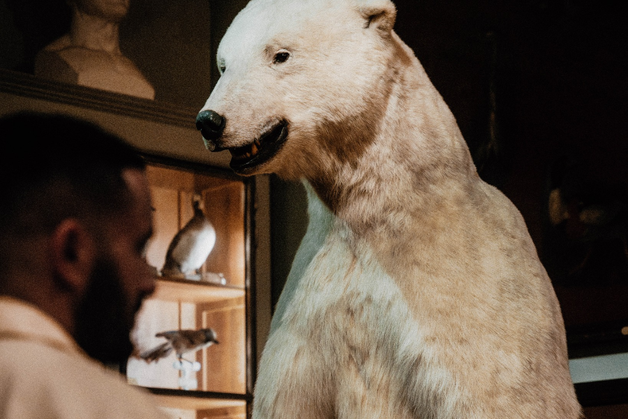 MUSÉE DE LA CHASSE ET DE LA NATURE