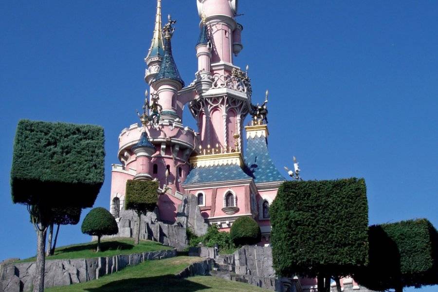 DISNEYLAND PARIS