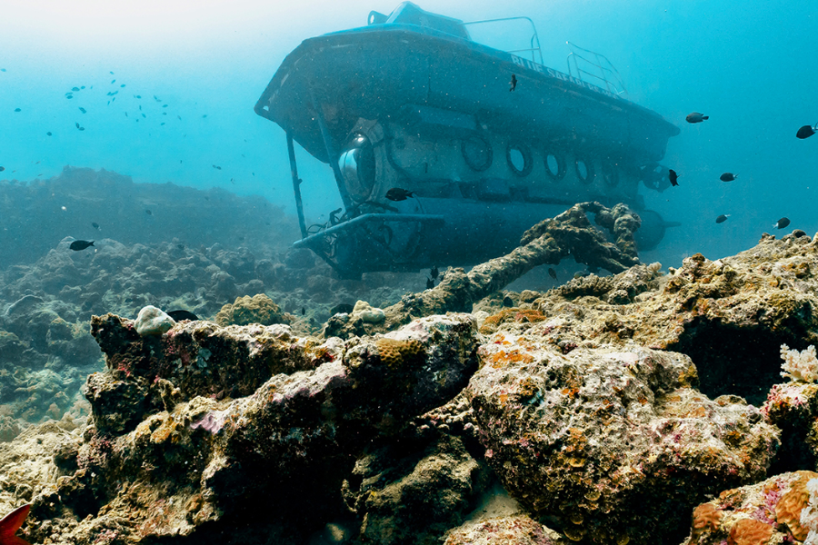 Sous marin & ancre datant du 17ème siècle - ©Blue Safari