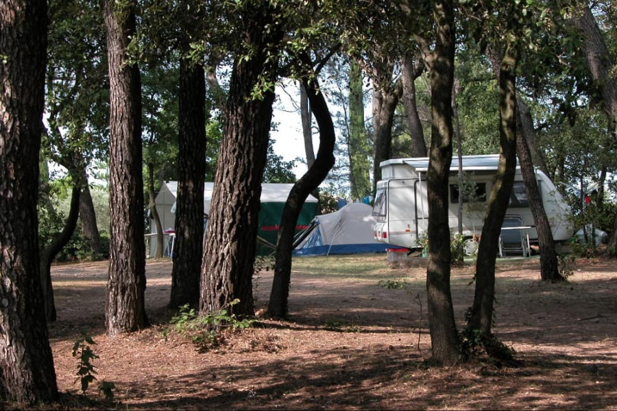  - ©CAMPING LES VISTES