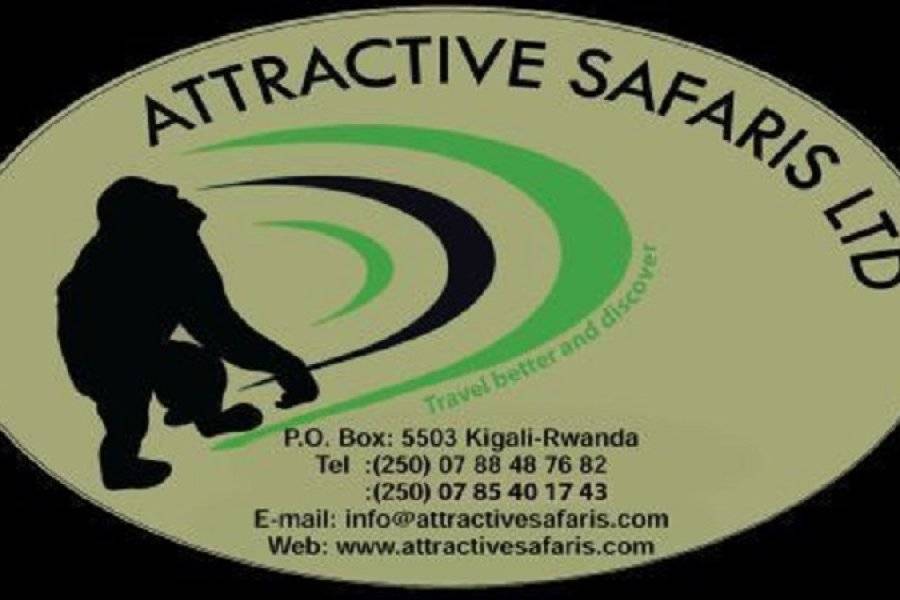 attractif - ©ATTRACTIVE SAFARIS LTD