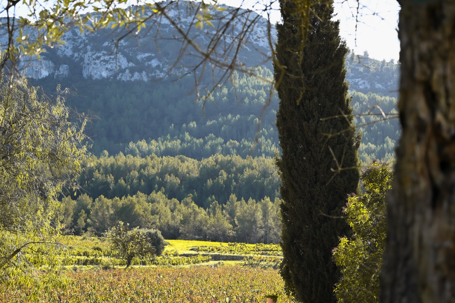 VUE DU DOMAINE