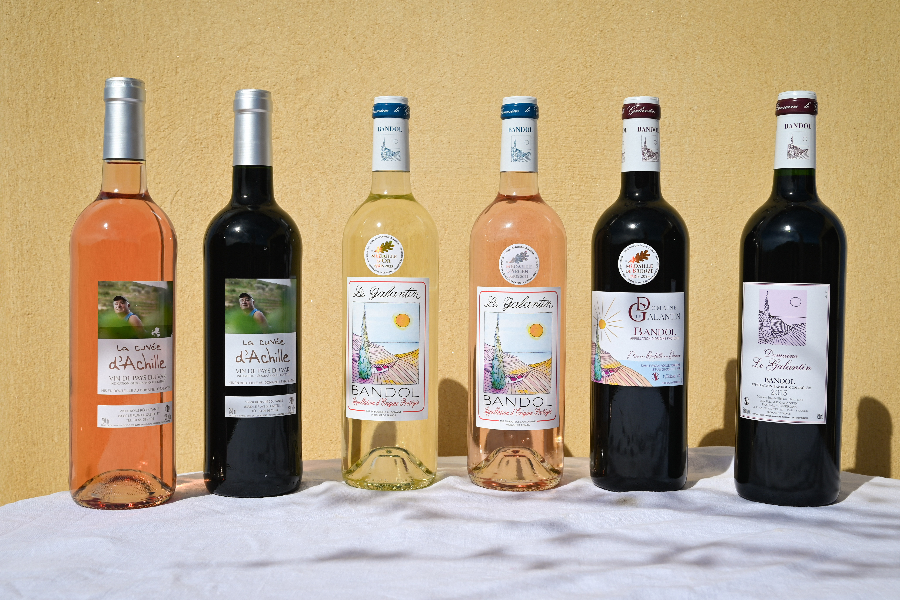 NOS VINS