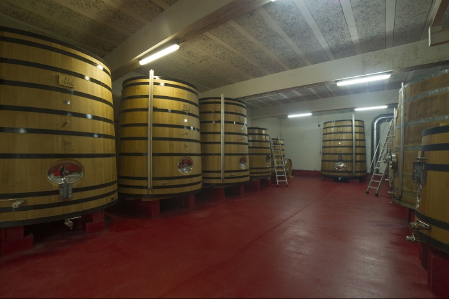 NOTRE CAVE