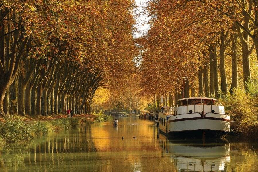 Pat on stock - Fo... - ©CANAL MIDI