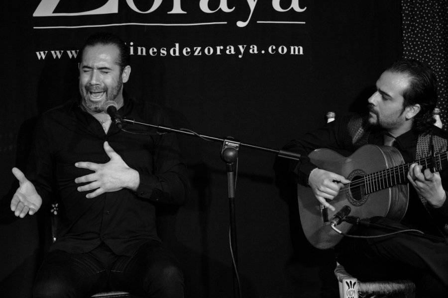 Alfredo Tejada cante - ©JARDINES DE ZORAYA