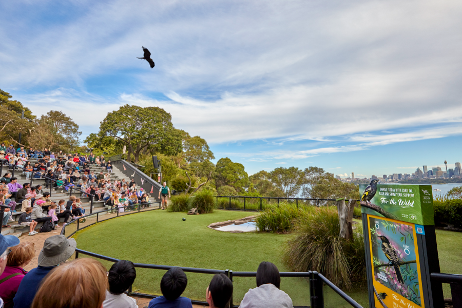 Taronga zoo