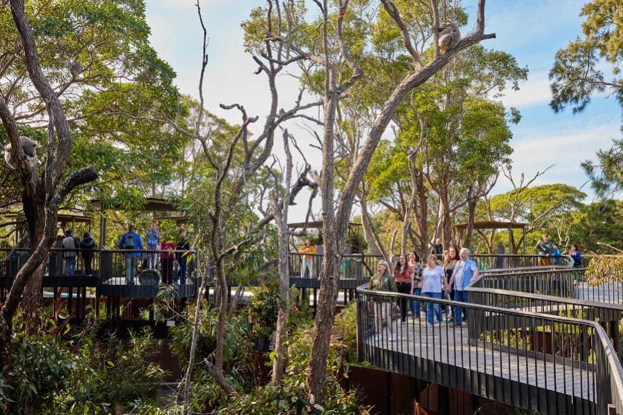 Taronga zoo